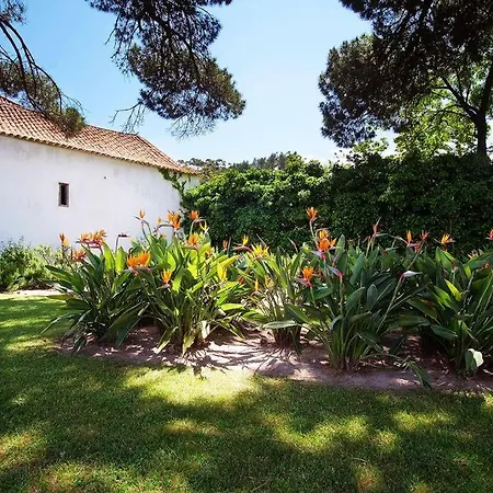 St Pool Gardens Sesimbra,tranquility 10min Вилла Сесимбра